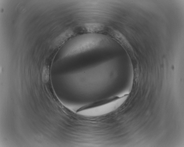 X0000085300471200703231903