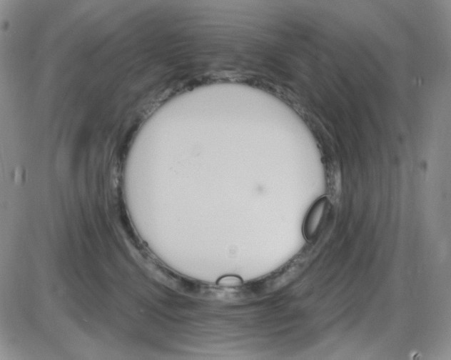 X0000085300472200703231903