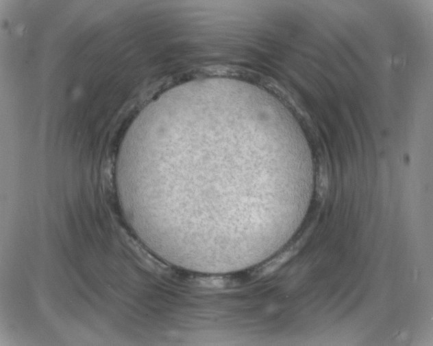 X0000085300473200703231903