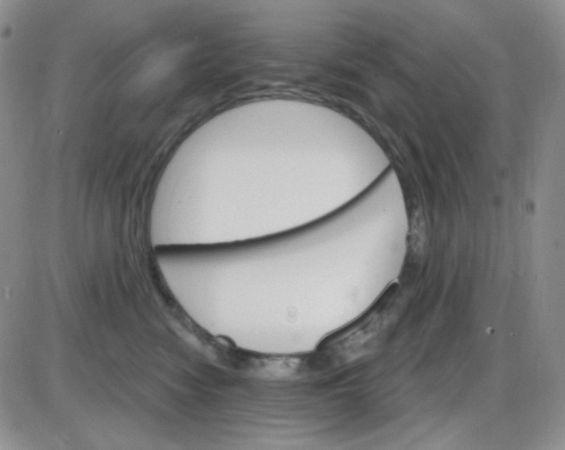 X0000085300474200703231903