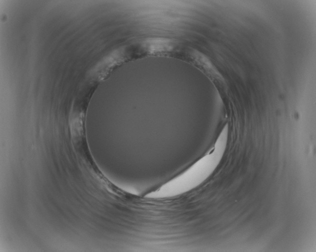 X0000085300475200703231903