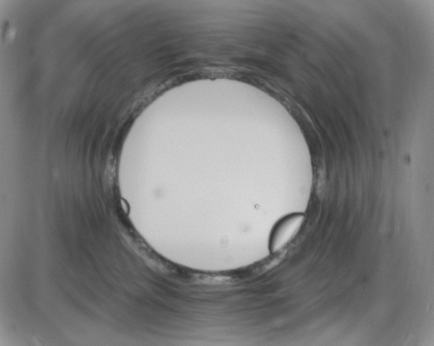 X0000085300476200703231903