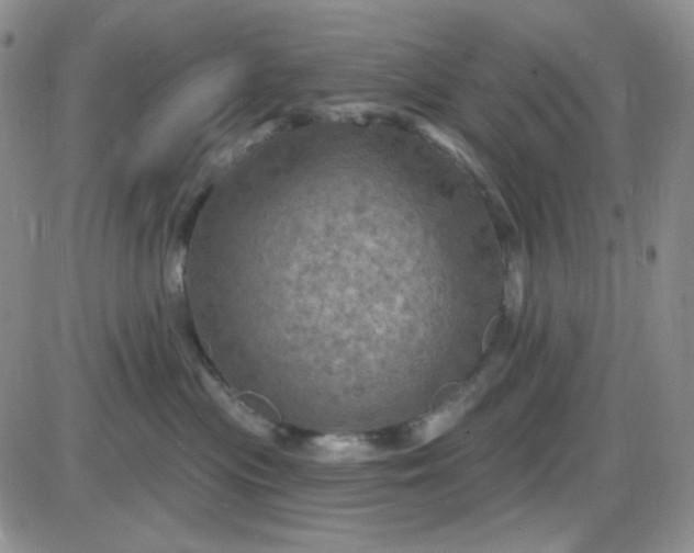 X0000085300477200703231903