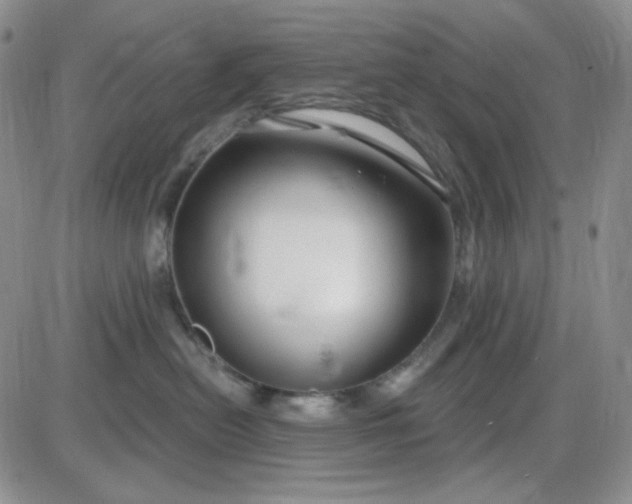 X0000085300478200703231903