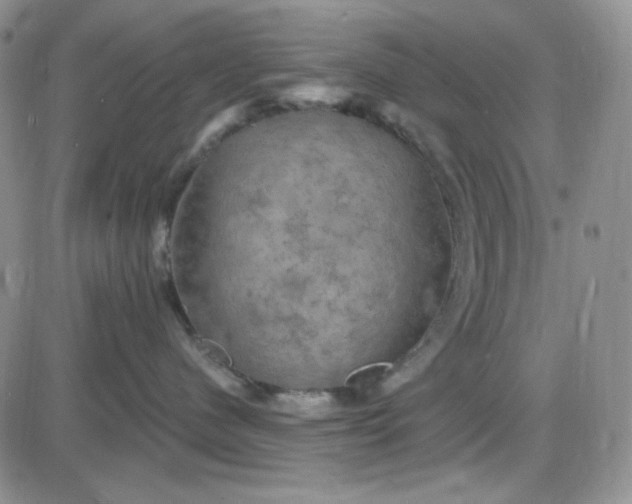 X0000085300480200703231903