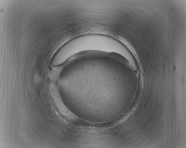 X0000085300481200703231902