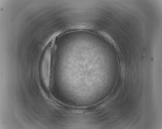 X0000085300482200703231902