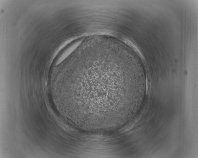 X0000085300483200703231902