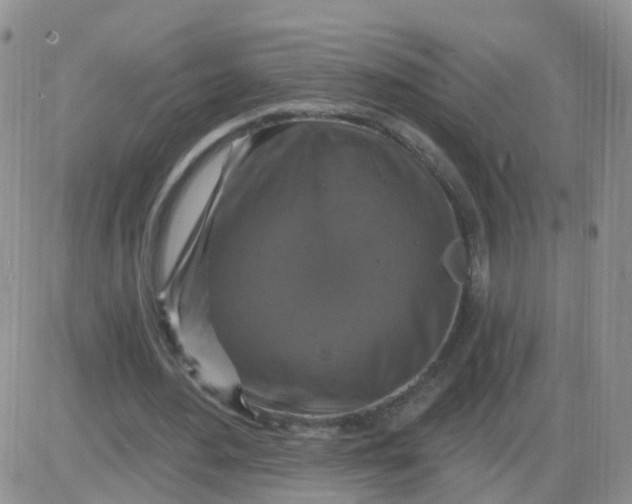 X0000085300484200703231902