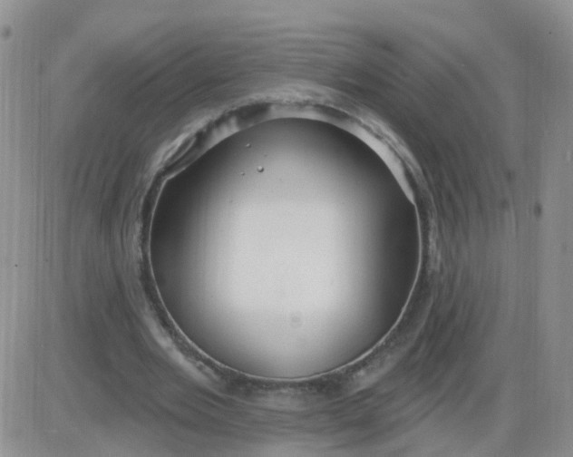 X0000085300485200703231902