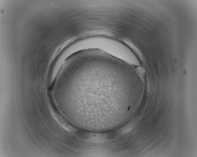 X0000085300486200703231902