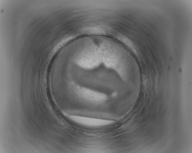 X0000085300487200703231902