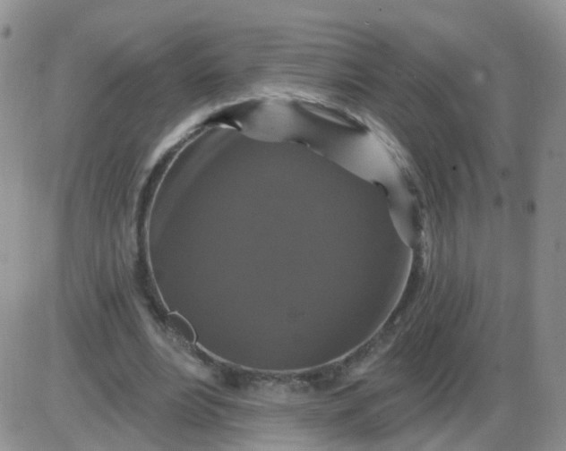 X0000085300488200703231902