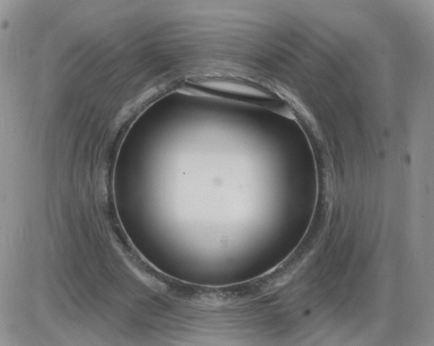 X0000085300489200703231902