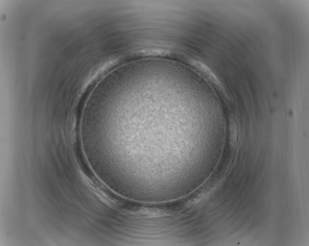 X0000085300490200703231902