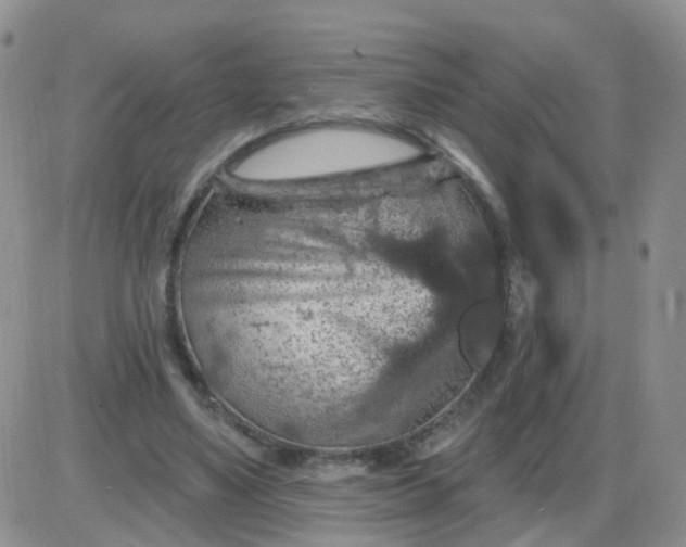 X0000085300491200703231902