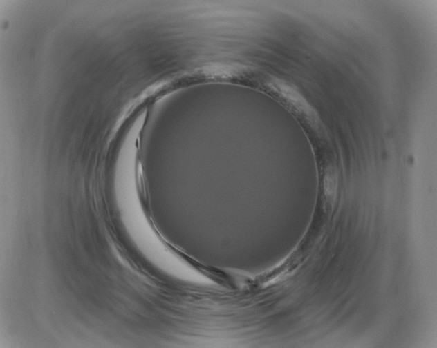 X0000085300492200703231902