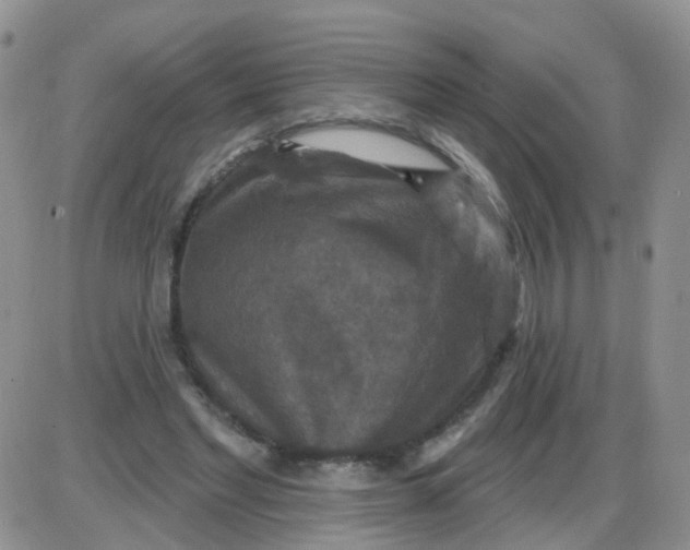 X0000085300493200703231902