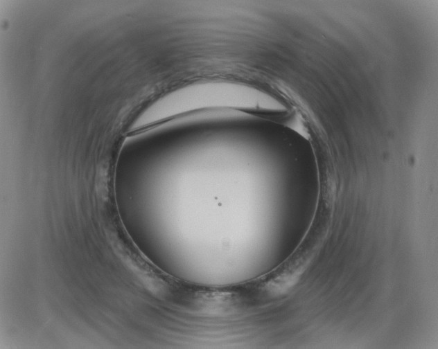 X0000085300497200703231902