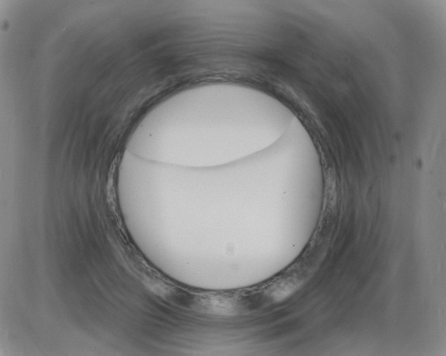 X0000085300498200703231902