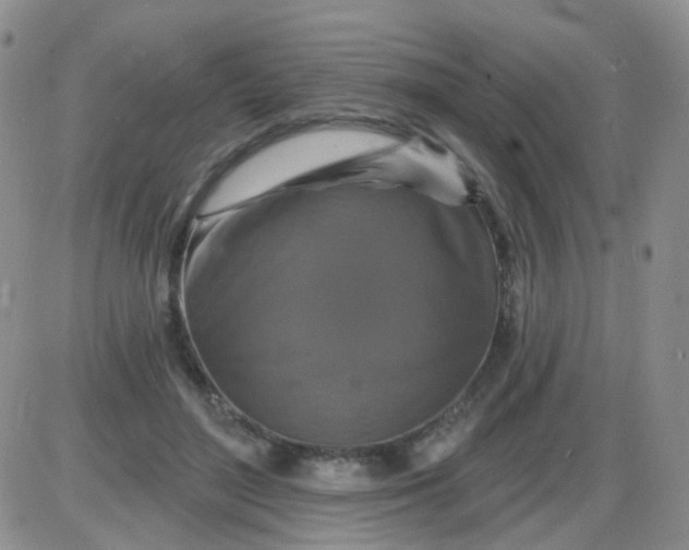 X0000085300500200703231902