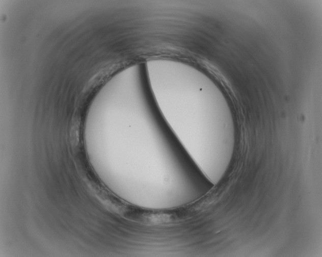 X0000085300501200703231902