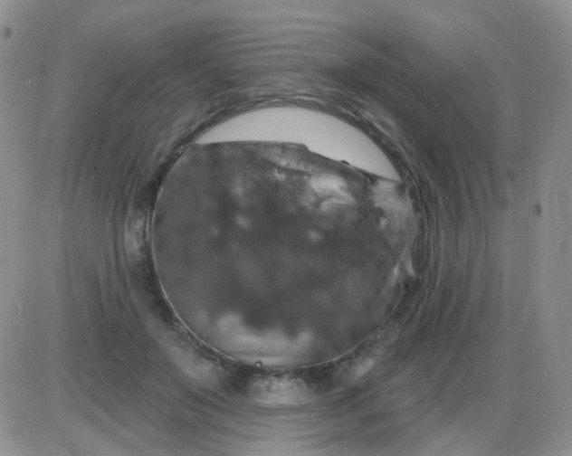 X0000085300503200703231902