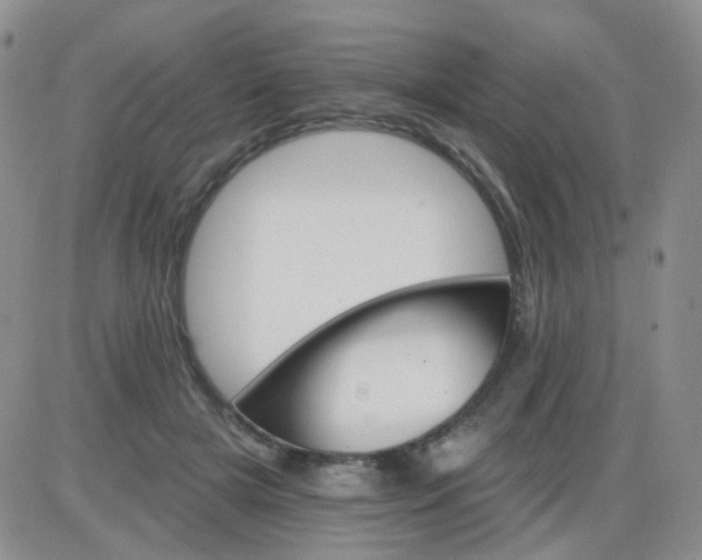 X0000085300505200703231902