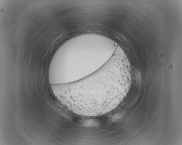 X0000085300507200703231902