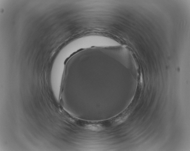 X0000085300508200703231902