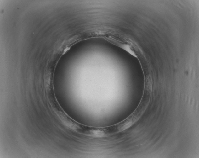 X0000085300509200703231902