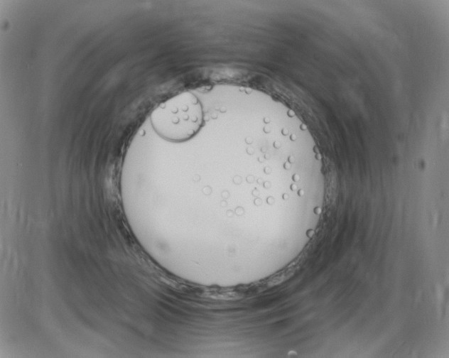 X0000085300510200703231902