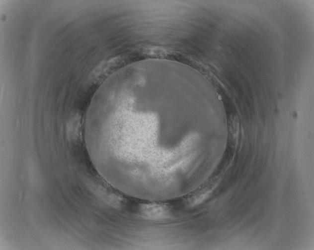 X0000085300511200703231901