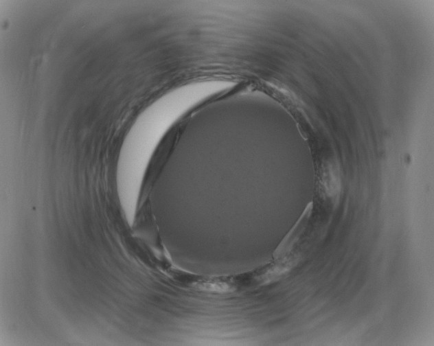 X0000085300512200703231901