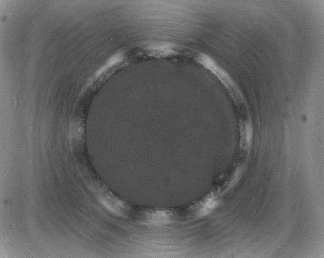 X0000085300513200703231901