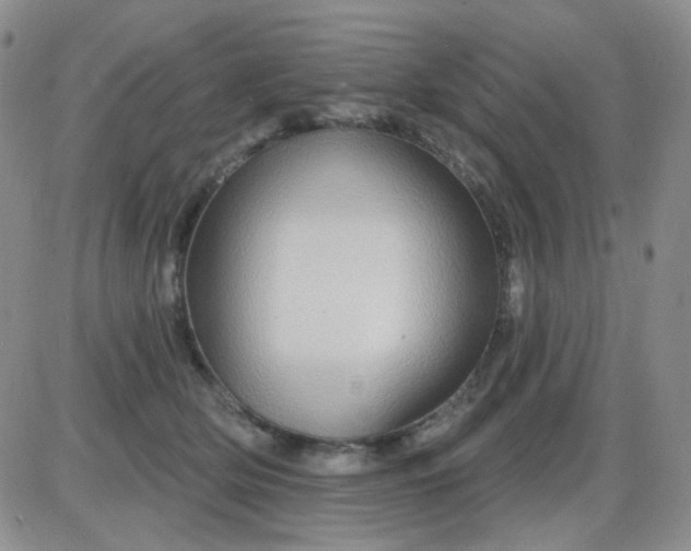 X0000085300514200703231901