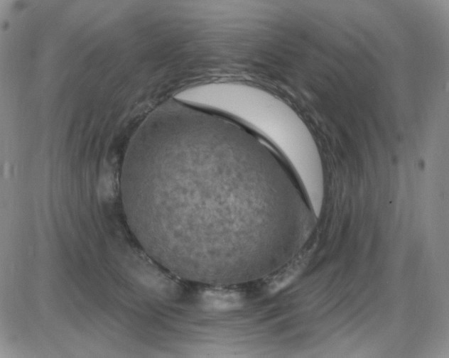 X0000085300515200703231901