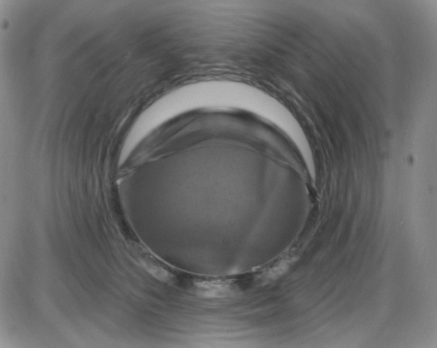 X0000085300516200703231901