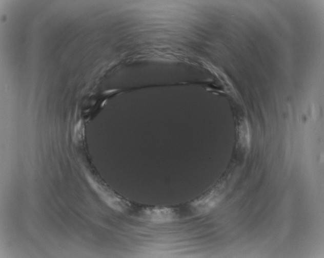 X0000085300517200703231901