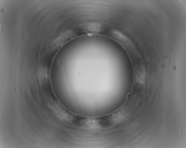 X0000085300518200703231901