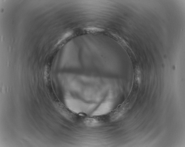 X0000085300519200703231901