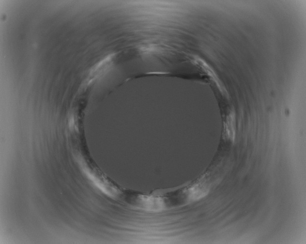 X0000085300520200703231901