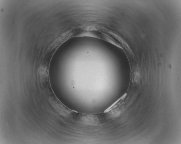 X0000085300521200703231901