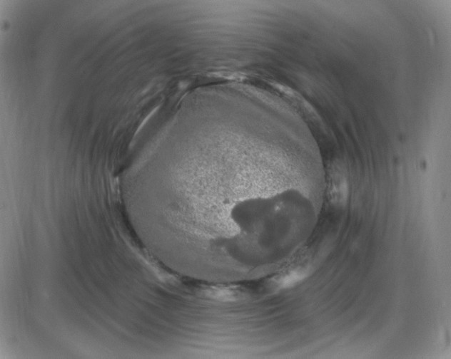 X0000085300523200703231901