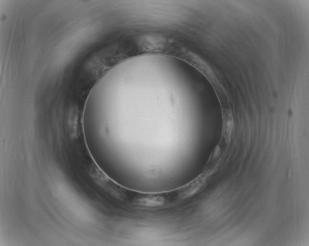 X0000085300525200703231901