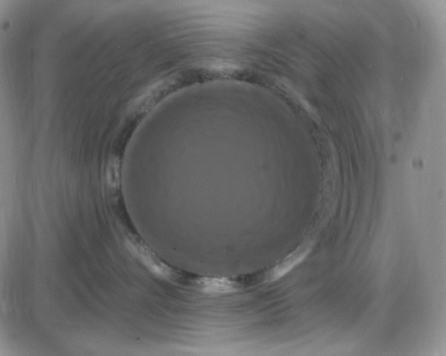 X0000085300528200703231901