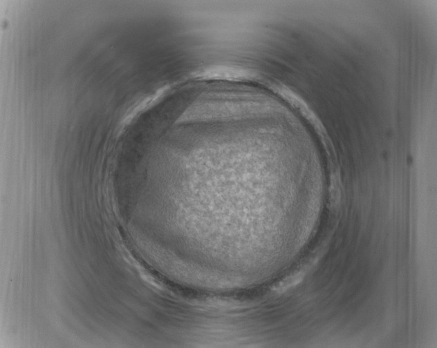 X0000085300529200703231900