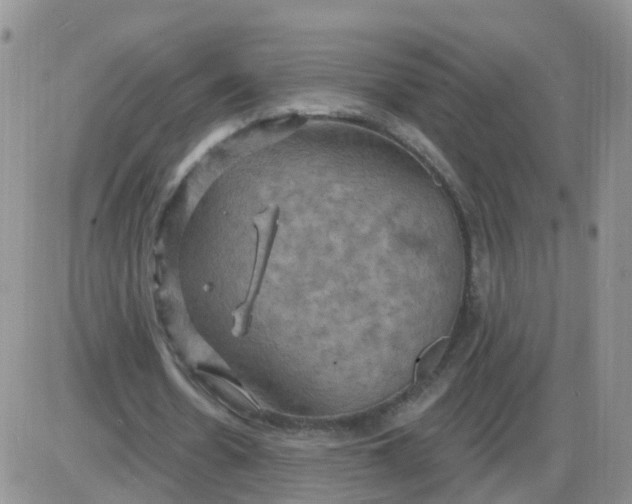 X0000085300530200703231900