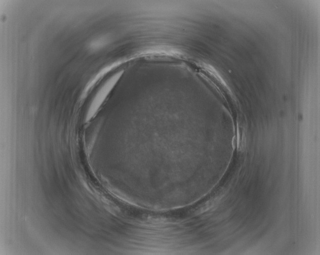 X0000085300531200703231900