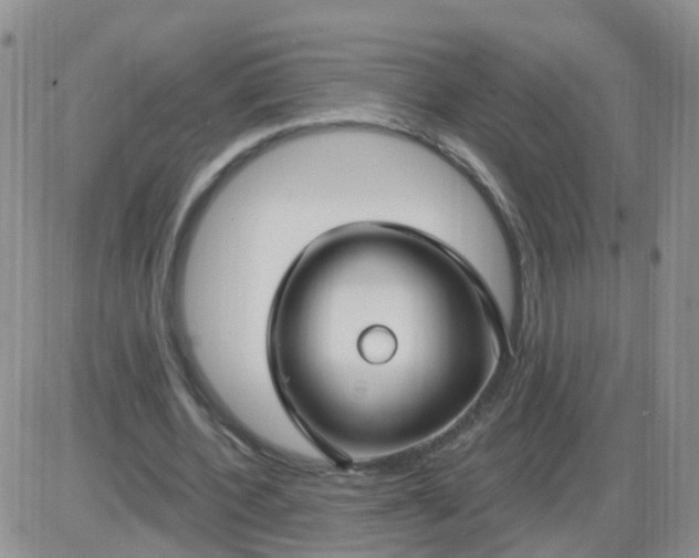 X0000085300532200703231900